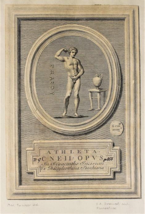 Zdjęcie nr 7 (7)
                                	                             Engraving by Johann Adam Schweickart, ca. 1742-1757
                            