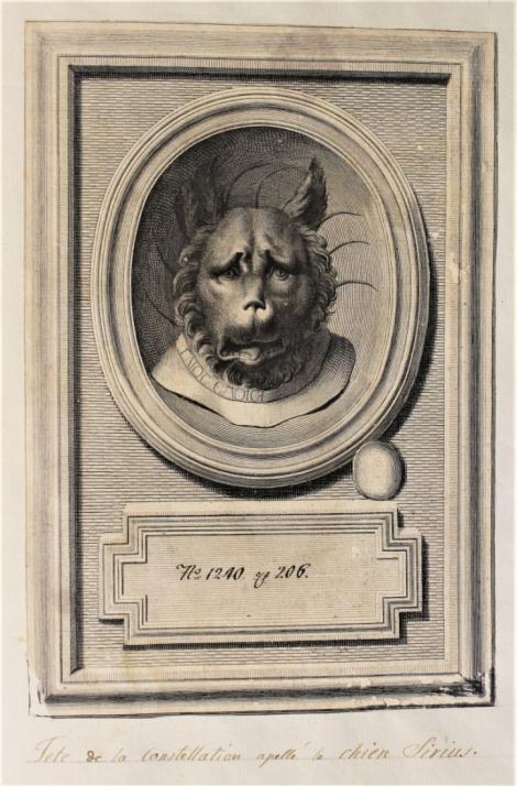 Zdjęcie nr 4 (7)
                                	                             Lost intaglio, head of Sirius, signed by Gaios - engraving by Johann Adam Schweickart
                            