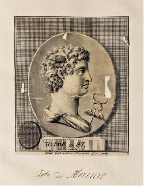 Zdjęcie nr 4 (6)
                                	                             Lost carnelian intaglio, bust of Mercury with caduceus - drawing by Johann Justin Preisler, ca. 1726-1738
                            